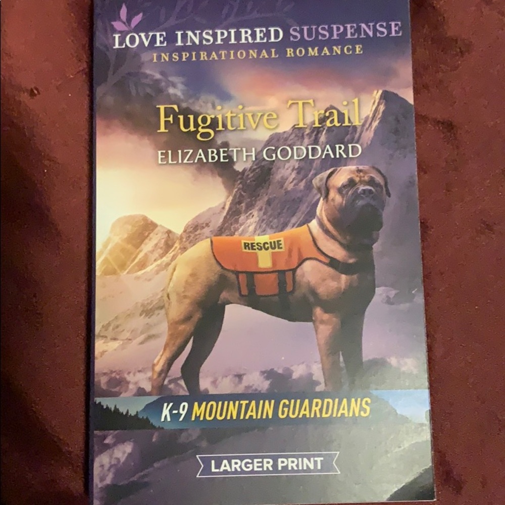 Paperback Book